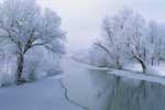 картинки на тему Красивый зимний пейзаж